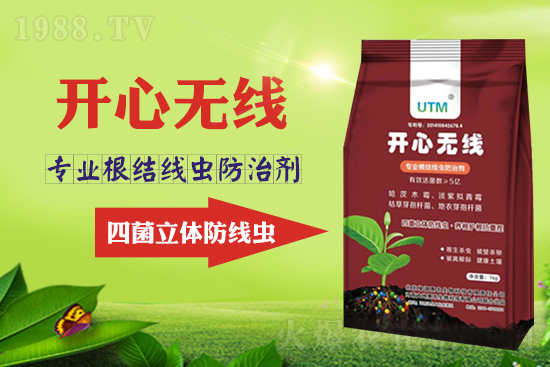 ���Y(ji��)���xΣ���������x������Ҋ�R����