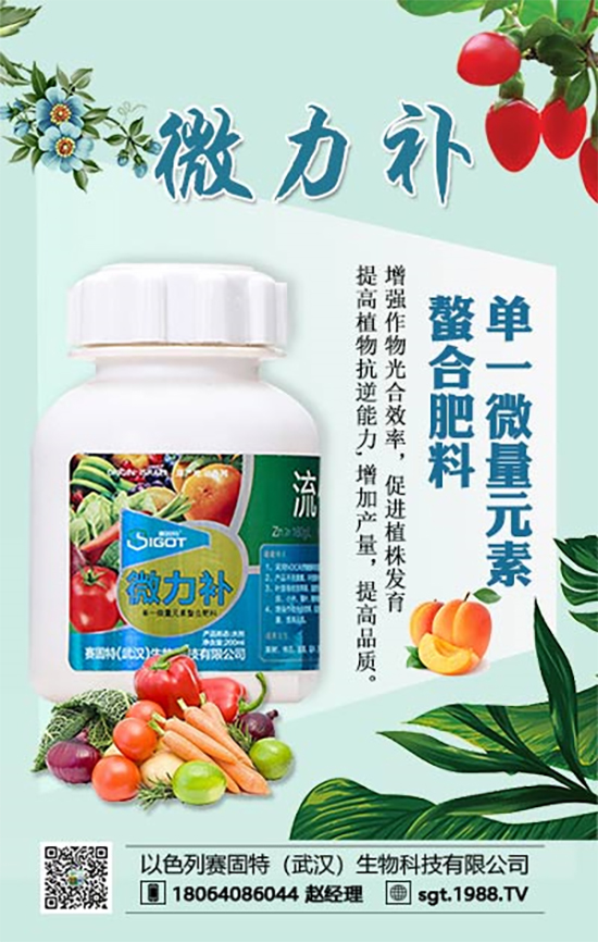 防治果樹小葉、黃葉病,專家有妙招!