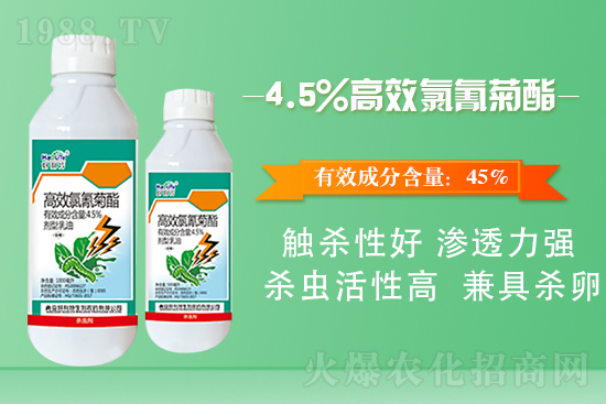 白菜菜青蟲有什么危害?白菜菜青蟲防治