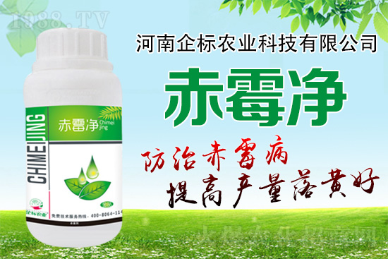 緊急提醒:未來(lái)十天是小麥赤霉病防治關(guān)鍵期!務(wù)必抓住!