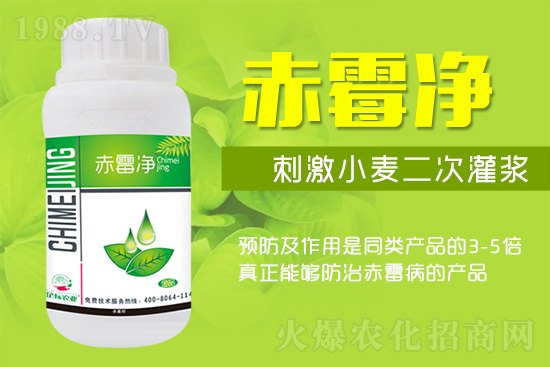 緊急提醒:未來(lái)十天是小麥赤霉病防治關(guān)鍵期!務(wù)必抓。