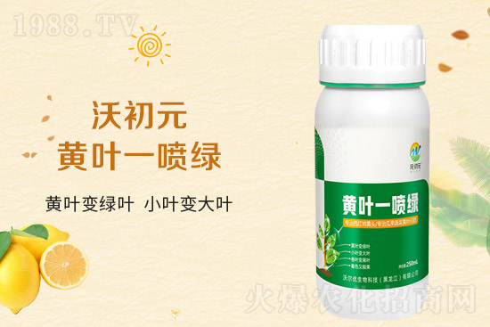 �����~Ƭ��ʲô�l(f��)�S��