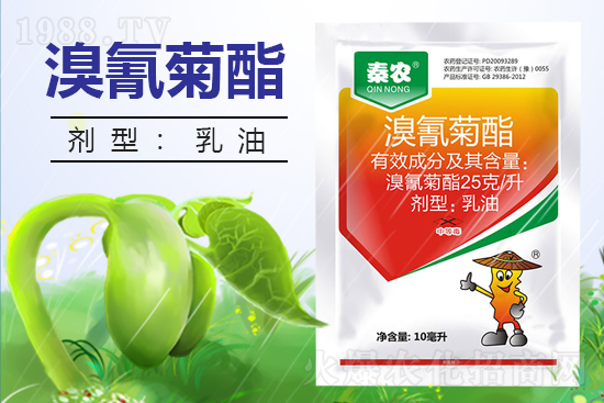 ������ˎ������������߀Ҫ�����