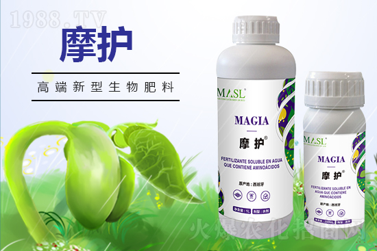 黃瓜苗期管理,需要注意哪些問題?