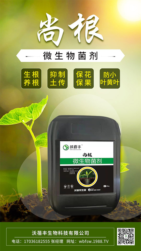 ��ô����׌���������Ѹ������@����׌��������������