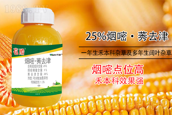 ���׳������e���@�׷N���݄���