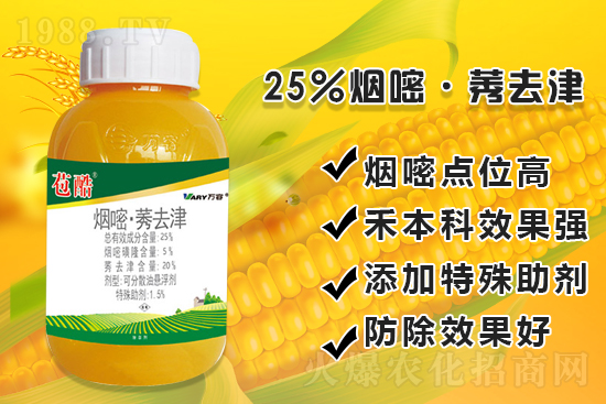 ���׳��ݣ��e���@�׷N���݄���