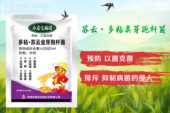 四月小麥赤霉病多發(fā),不要錯過防治時間!