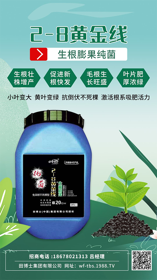 根是肥的嘴,萬(wàn)物生長(zhǎng)靠根系!作物爆發(fā)生根試試這一招!