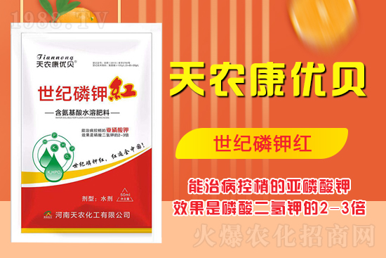 ���������ʲô���ã����˽����