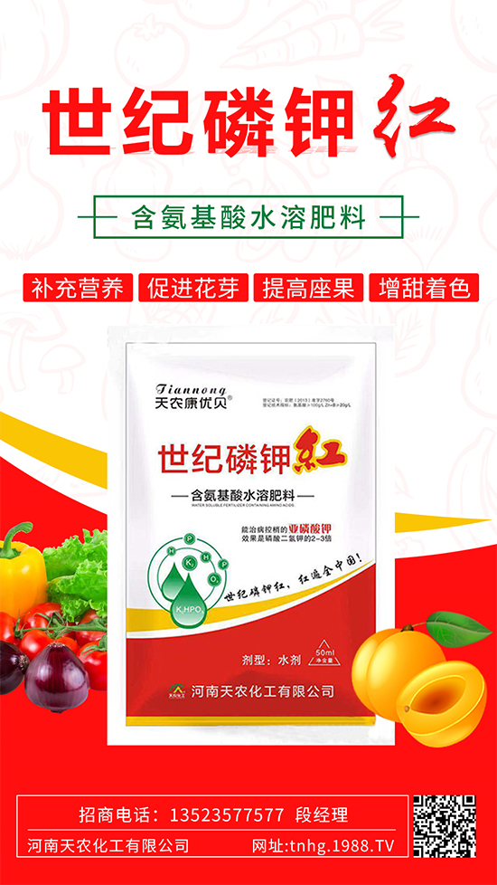 ���������ʲô���������˽����