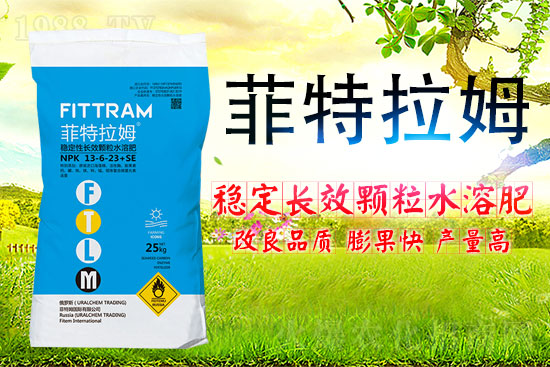 ɽ�|�����M(j��n)�������޹�˾20