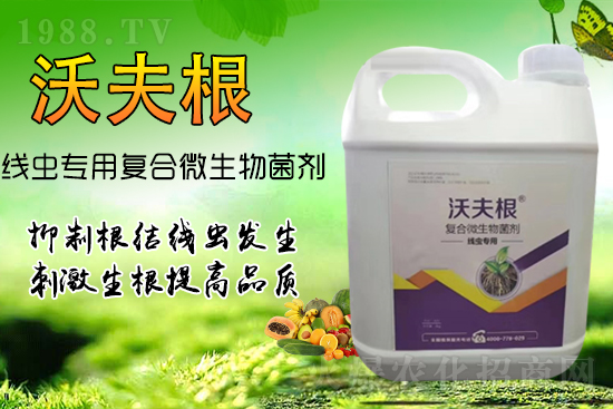 ���Y(ji��)���x��Ⱦ������������������������Ч����!