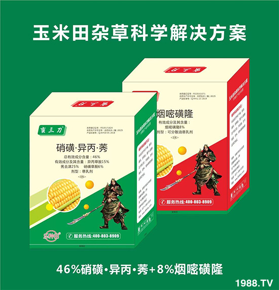     ���׻������ļ�����Ҫ�r(n��ng)�������Nֲ��e�����a(ch��n)������Ч��������s�ݷ��΅s���r(n��ng)������ʮ���^�����Ⱥ���ˎ�����ֺ��·���Ч��������