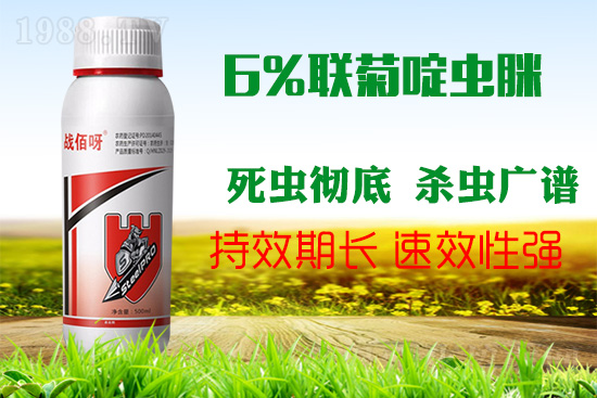 �������x���l(f��)�l��������ע����ǰ�������ׂ������p�ɸ㶨��