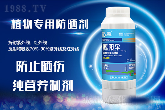 �ߜ������u������������E�[���쿴�������ˆ�? 