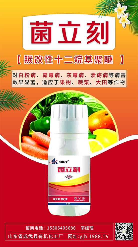 ����˪ù��߀�ǰ׷۲����e��ɵɵ�ֲ���������ηֱ漰������