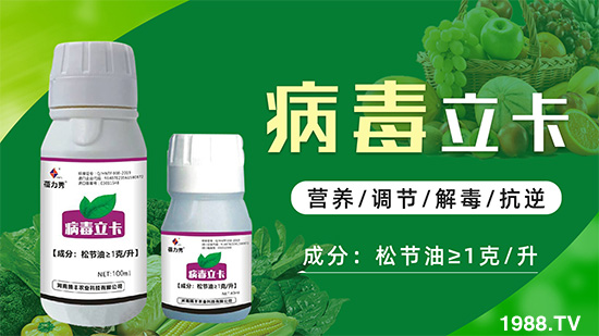 �ƽ�ֲ�ﲡ�������y�}�����ٻ֏�(f��)���C���@��ˎ���Ͼ͹�����