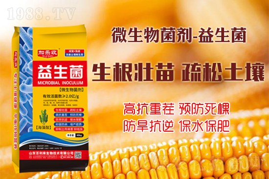 ������������Ѹ����L�ݸ�ïʢ���W���@Щ�°빦����