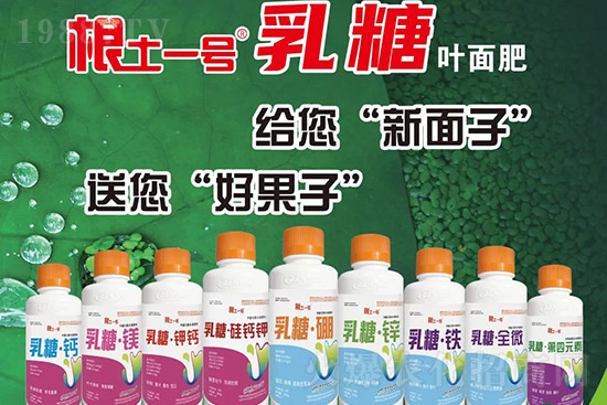 �J����������c(di��n)����Щ���J����������ôʩ