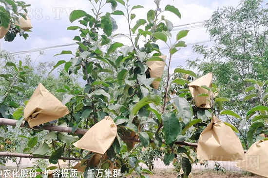     ����(sh��)�״���ɜp���r(n��ng)ˎ���������ƹ��ӵ����^(gu��n)Ʒ�|(zh��)���ɴ����߹�Ʒ�u(m��i)�࣬�����׳��۲��u(m��i)���߃r(ji��)�����Թ���(sh��)�״�Ŀǰ��Ȼ���҇�(gu��)���@����Ҫ�����������״��O(p��ng)��������Ǻ���Ҳ�ٲ�����