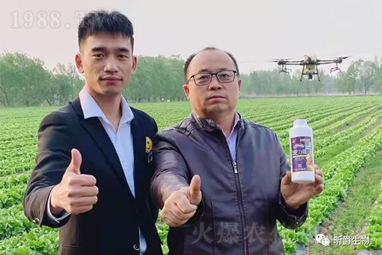 ����׷�ʏ�(f��)�Ϸʺ�߀�����غ����ܶ��˶��e(cu��)�ˣ����������_�x��