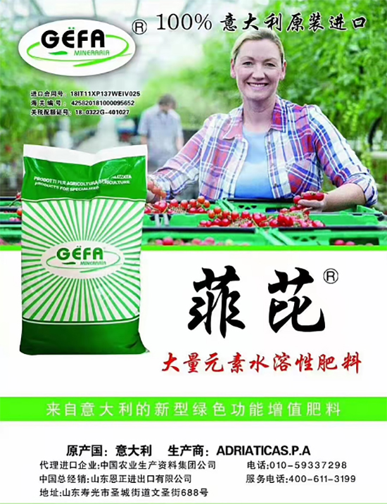 ��500�2000���߶��M(j��n)�ڷʡ��ԃr(ji��)�Ȱ�����