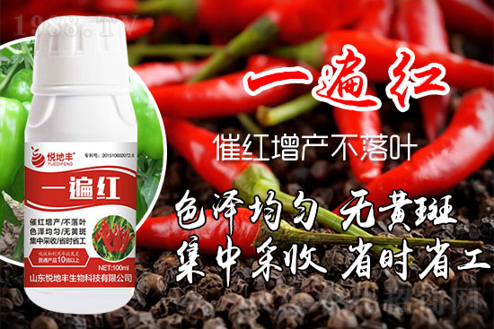 ������ʲôҪ���t���������t��ɫ�Ă����Ӻ���