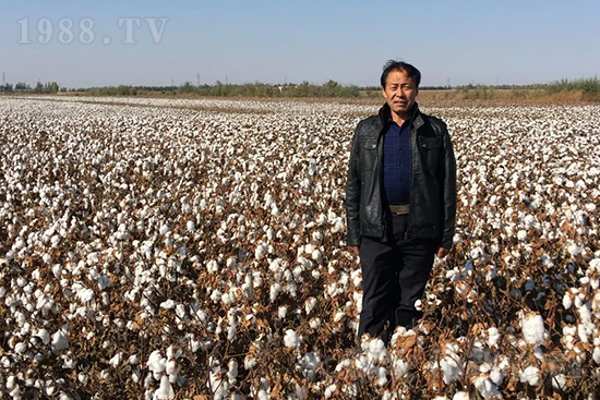 中農(nóng)化新疆北疆辦事處負責人:同路同行共發(fā)展