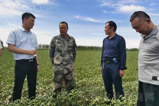 中農(nóng)化新疆北疆辦事處負責人:同路同行共發(fā)展