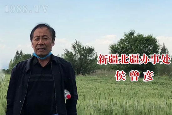 中農(nóng)化新疆北疆辦事處負責人:同路同行共發(fā)展