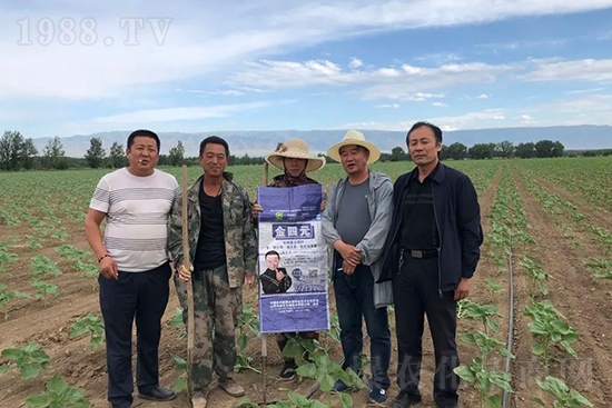 中農(nóng)化新疆北疆辦事處負責人:同路同行共發(fā)展