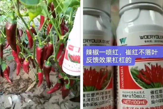 ���t�����95%���߼t�����~�����뷭�׷�����������һ���t��