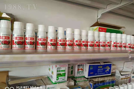 ���t�����95%���߼t�����~�����뷭�׷�����������һ���t��