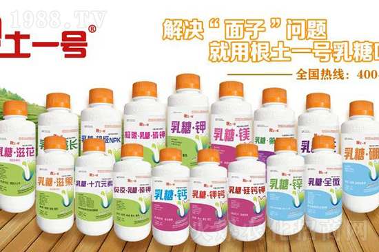 7月份獼猴桃進入二次膨大期、轉(zhuǎn)糖期,這5個管理要點不得不看!