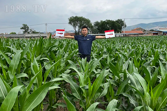 ��Դ������������I(y��ng)�B(y��ng)�a(b��)��ȫ����