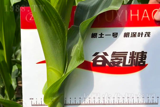 ��Դ������������I(y��ng)�B(y��ng)�a(b��)��ȫ����