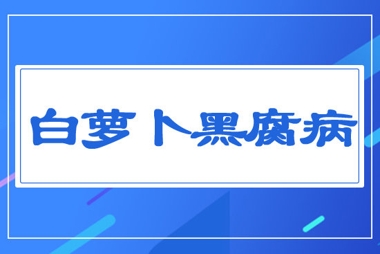 ���}���ڸ���