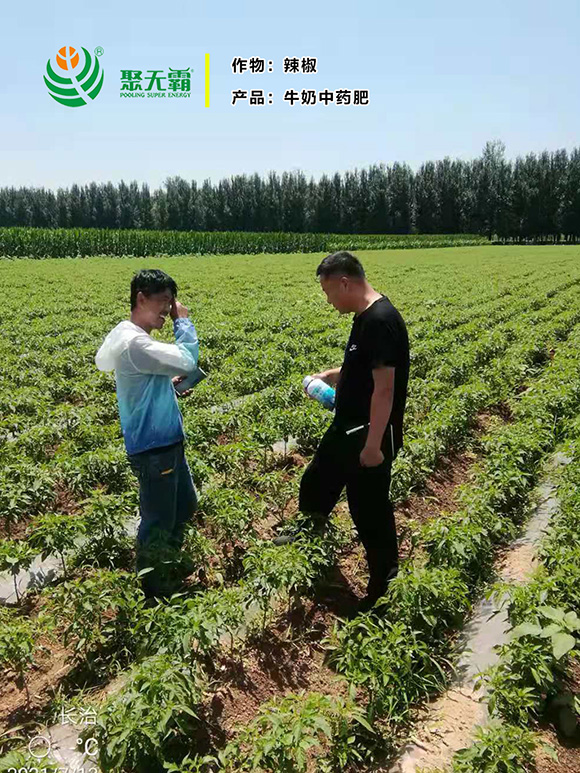 1kg牛奶中藥肥-聚無(wú)霸2