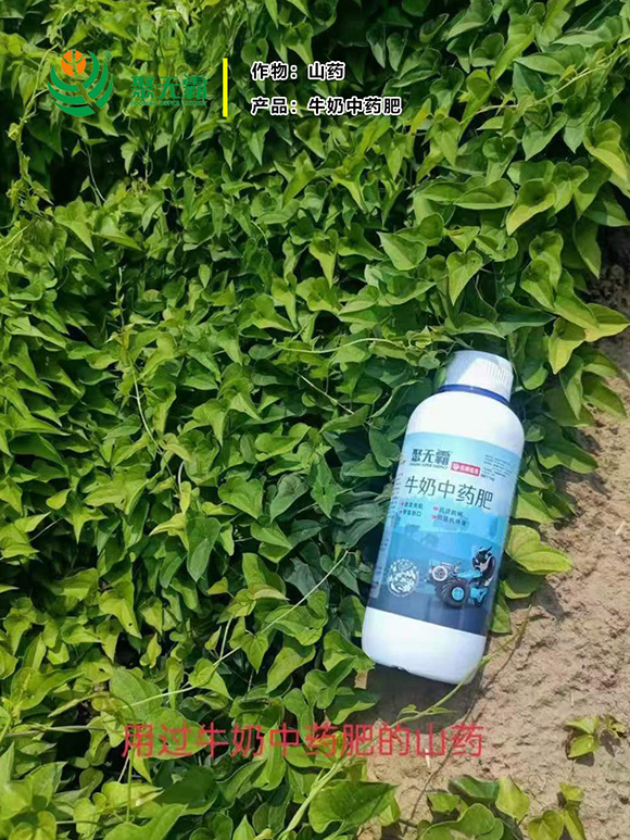 1kg牛奶中藥肥-聚無(wú)霸3