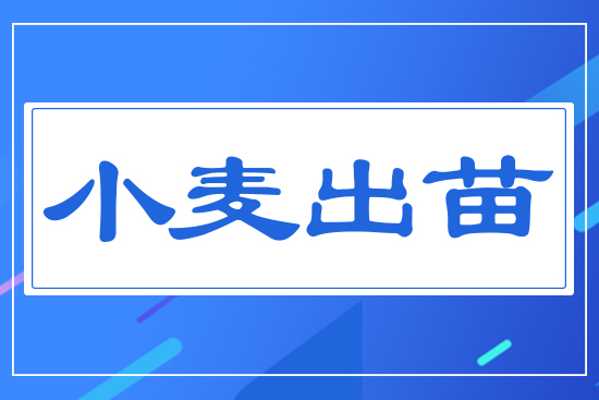 С������