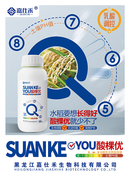 QQ�DƬ20231127085144