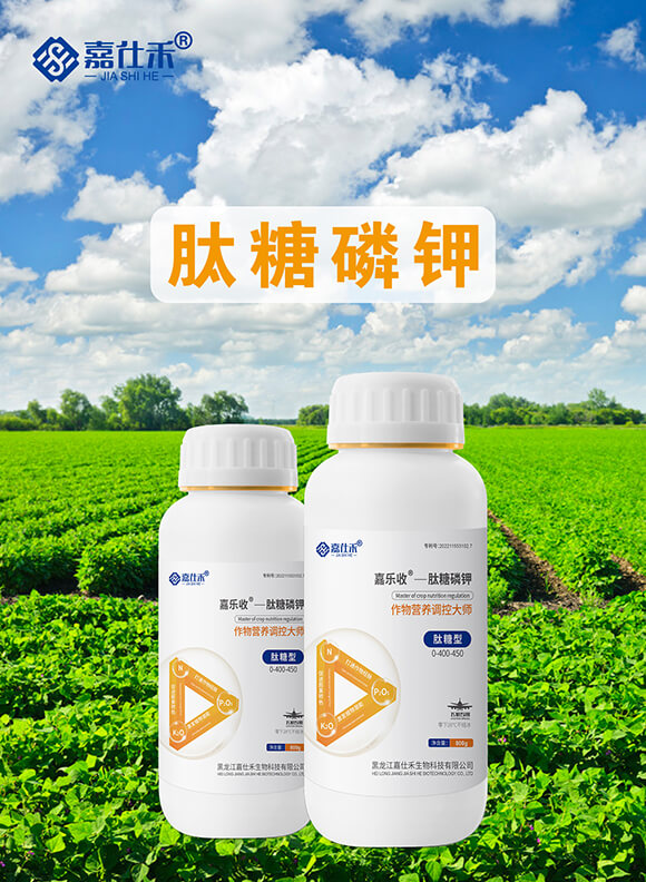 �������������0-400-450-�Θ���-���˺�_01