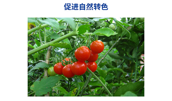 �������������0-400-450-�Θ���-���˺�_07