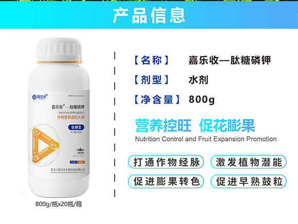 �������������0-400-450-�Θ���-���˺�_02