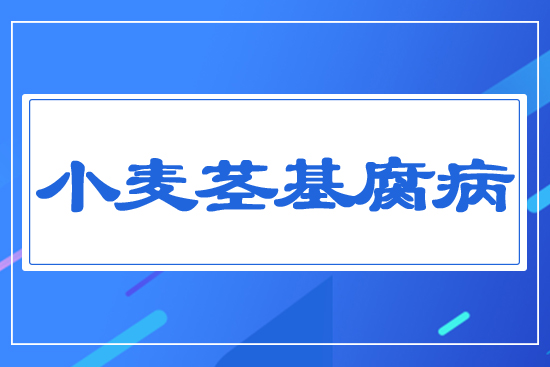 С���o������