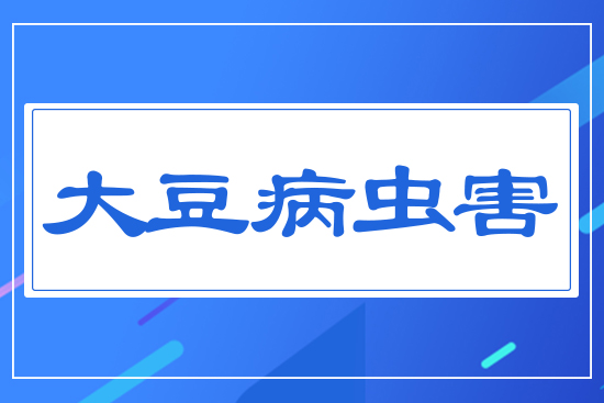 �󶹲��x��