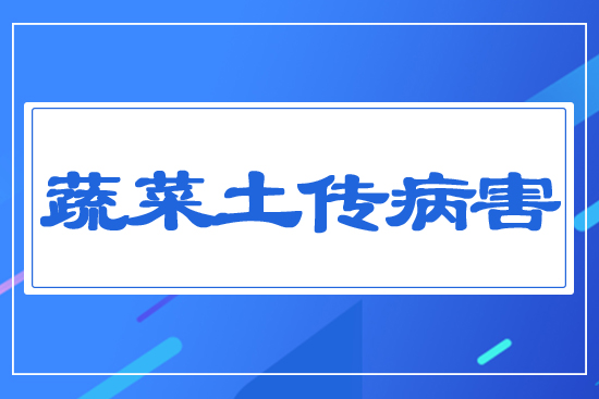 �߲���������