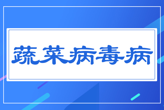 �߲˲�����