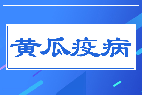 黃瓜疫病